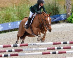 broodmare Orientales (Selle Français, 2002, from Rox de la Touche)