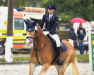 Springpferd Sandra 362 (Haflinger, 2003)