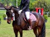 dressage horse Rawina 10 (German Riding Pony, 2001, from Narrator)