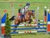 broodmare Großschwaigs Jade (German Riding Pony, 2006, from FS Champion de Luxe)