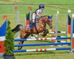 Zuchtstute Großschwaigs Jade (Deutsches Reitpony, 2006, von FS Champion de Luxe)