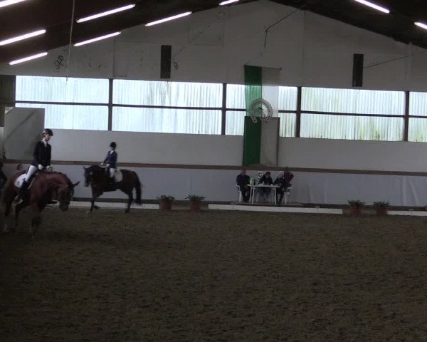 Reitturnier Waltrop 2017