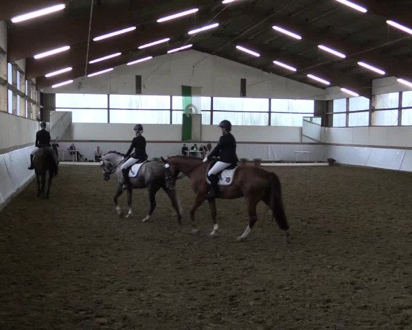 Reitturnier Waltrop 2017