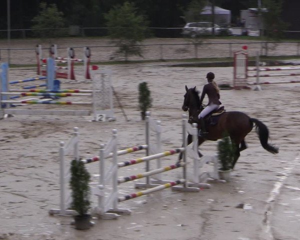 Reitturnier Neunkirchen-Salchendorf 2017