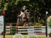 jumper Sestriere 2 (German Riding Pony, 2006, from Burlington S)