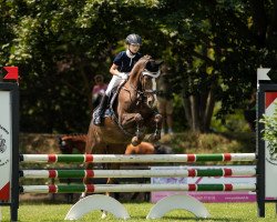 jumper Sestriere 2 (German Riding Pony, 2006, from Burlington S)