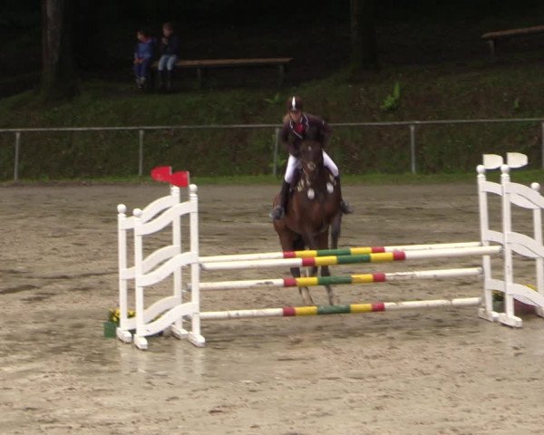 Reitturnier Neunkirchen-Salchendorf 2017