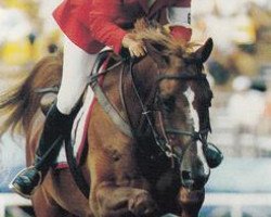 stallion Elan Denizen (Hanoverian, 1984, from Diskus)