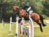 jumper Carla Columna 25 (Hanoverian, 2010, from Canstakko)