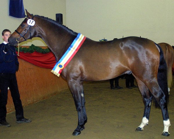stallion Justus (Mecklenburg, 1999, from Juventus)