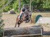 dressage horse Silenos (Westphalian, 2011, from Silbermond)