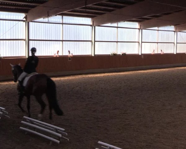 Reitturnier Herbern 2017