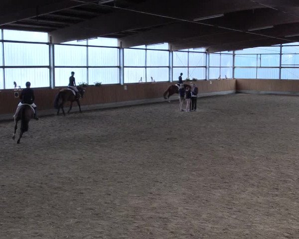 Reitturnier Herbern 2017