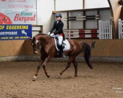 dressage horse Fleur 395 (Oldenburg, 2009, from Swarovski)