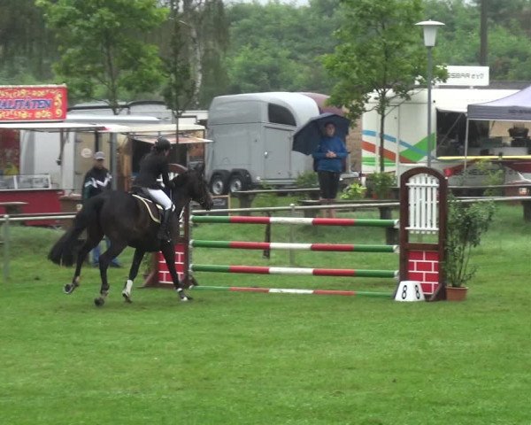 Reitturnier Gardelegen 2017