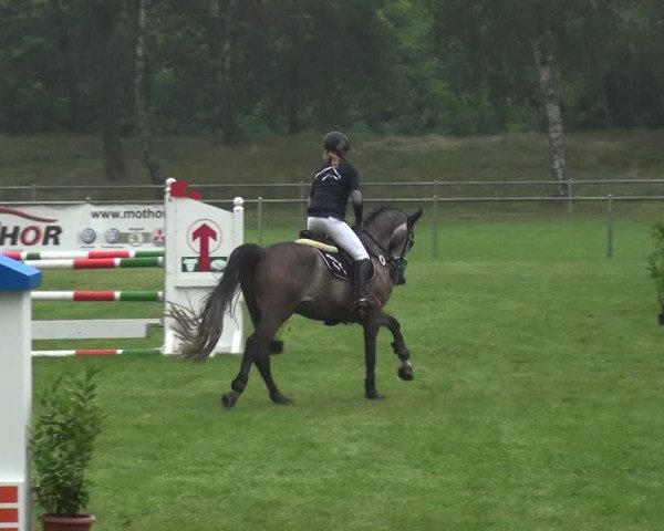 Reitturnier Gardelegen 2017