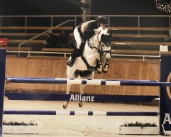 broodmare White Peal (German Riding Pony, 2007, from Douglas)