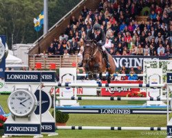 jumper Fleur de L'Aube (Belgian Warmblood, 2005, from Thunder van de Zuuthoeve)