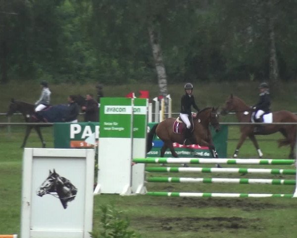 Reitturnier Gardelegen 2017