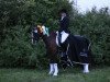 dressage horse Call Me Carlchen 3 (German Riding Pony, 2009, from Charivari)