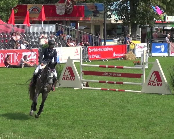 Reitturnier Aschersleben 2017
