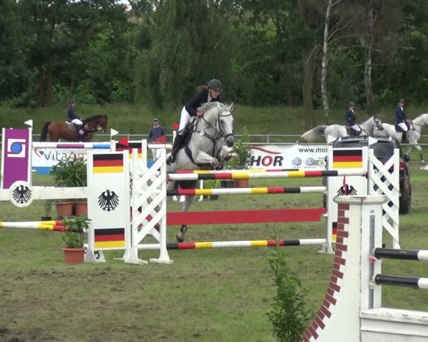 Reitturnier Gardelegen 2017