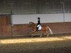 jumper Romana (Haflinger, 2010)