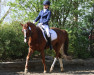 jumper Nora 394 (German Riding Pony, 2003, from Night-Star III)