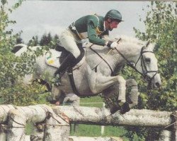 Pferd Enterprise (Irish Sport Horse, 1983, von Macrocket xx)