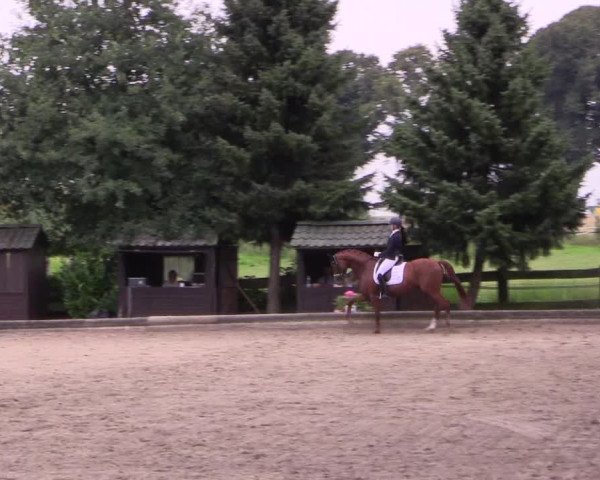 Reitturnier Datteln 2017