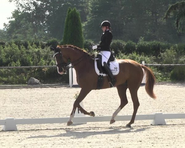 Reitturnier Illertissen 2017