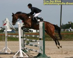 dressage horse Elbina R (Sachse, 2001, from Aramon)