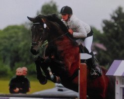 broodmare Elysee 62 (German Sport Horse, 2005, from Wind Dancer)