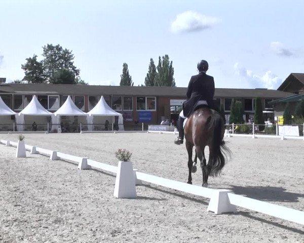 Reitturnier Illertissen 2017