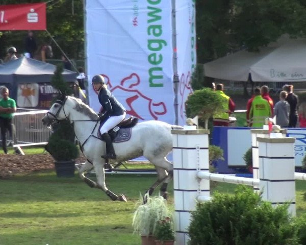 Reitturnier Aschersleben 2017