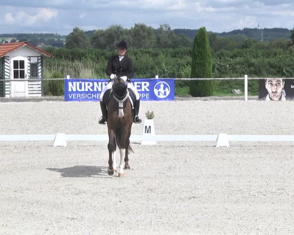 Reitturnier Illertissen 2017