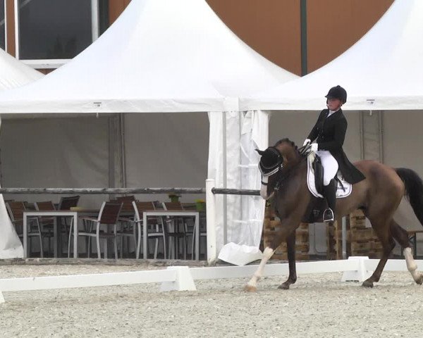 Reitturnier Illertissen 2017