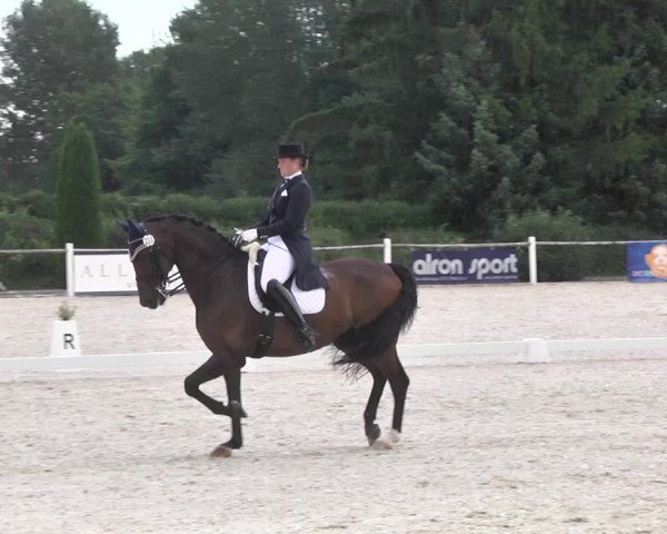 Reitturnier Illertissen 2017