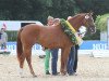 dressage horse Royal Rose M (Hanoverian, 2010, from Royal Classic I)