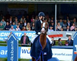 dressage horse Belmondo M (Hanoverian, 2013, from Callaho's Benicio)