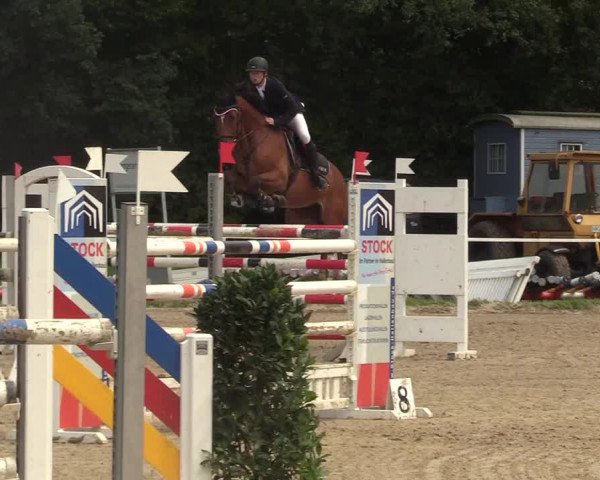 Reitturnier Menden 2017