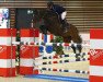 jumper Bel Canto du Houssoit (Belgium Sporthorse, 2007, from Sherman Sitte)