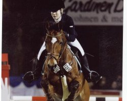 jumper Alfalfa (KWPN (Royal Dutch Sporthorse), 1997, from Ahorn)