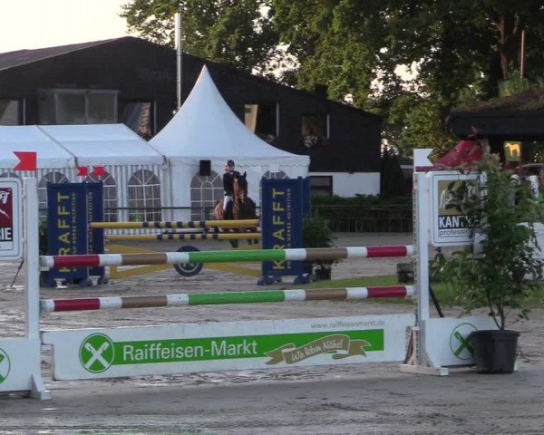 Reitturnier Datteln 2017