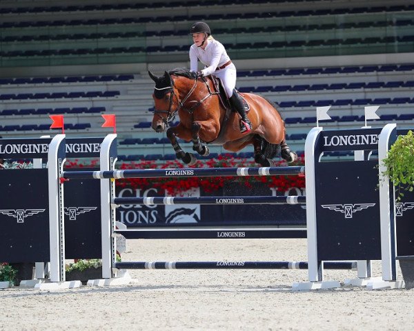 jumper Elovely (KWPN (Royal Dutch Sporthorse), 2009, from Casinos)