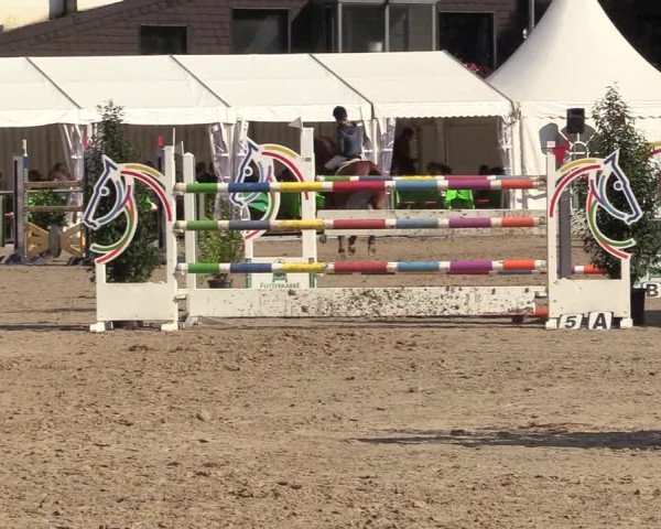 Reitturnier Datteln 2017