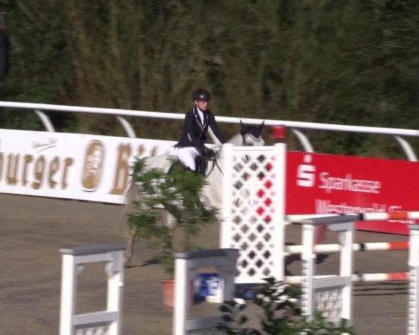 Summermeeting der Springreiter in der ParkArena 2017