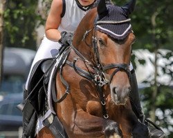 jumper Marie Lou 6 (German Riding Pony, 2012, from Miraculix)