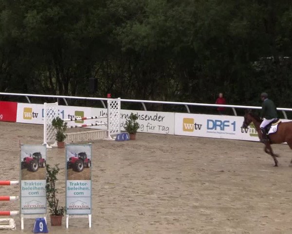 Summermeeting der Springreiter in der ParkArena 2017
