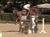 jumper Gino il grande (Hanoverian, 2009, from Graf Top)